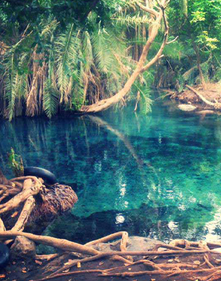 kikuletwa-hot-spring-day-tour